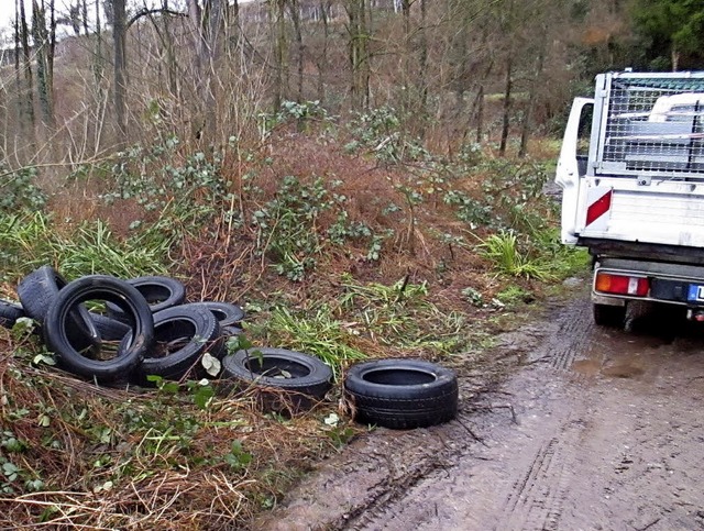 Diese Reifen hat der BGL aus dem Wald gerumt.   | Foto: Stadt Lahr
