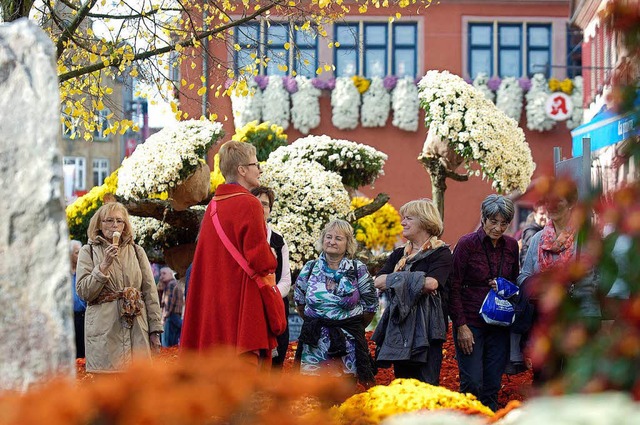 480 Chrysanthema-Fhrungen fanden im vergangenen Jahr statt.  | Foto: Stadt Lahr
