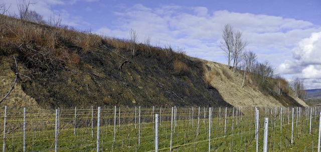 Das Abflmmen von Rebbschungen (wie h...chutzbehrde des Landratsamts erlaubt.  | Foto: Privat