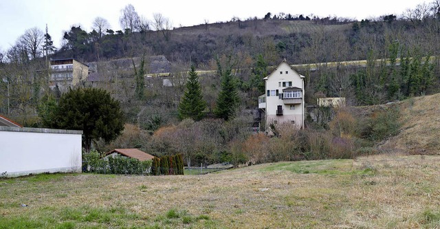 Auch Brger in Kleinkems freuen sich d... jetzt mit dem Neubaugebiet vorangeht.  | Foto: Langelott