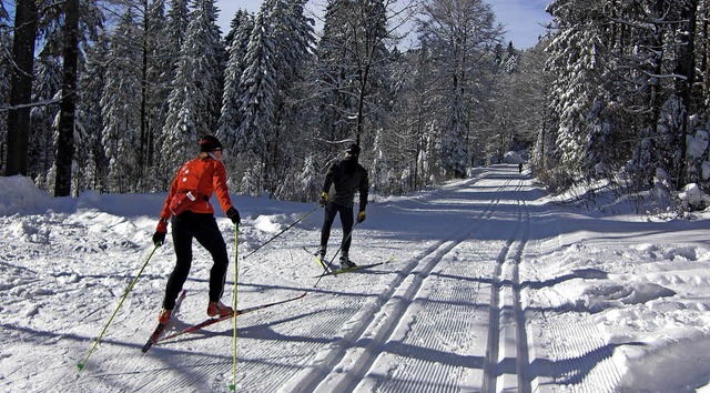 Wunderbar prparierte Loipen stehen de...er wieder am Notschrei zur Verfgung.   | Foto: Gerhard Lck