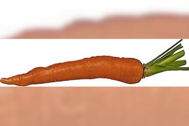 Karottensuppe für den Klimaschutz
