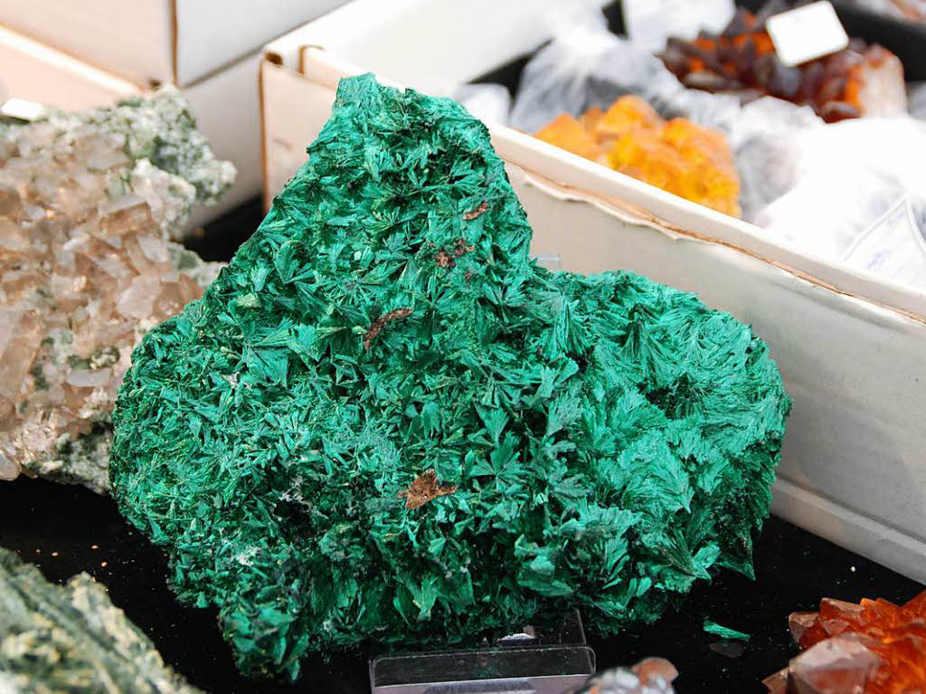 Die unzhligen farbigen Mineralien, Kristalle und Edelsteine faszinierten nicht nur die Kinder.