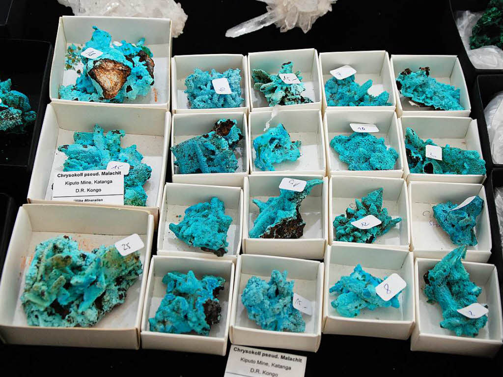 Die unzhligen farbigen Mineralien, Kristalle und Edelsteine faszinierten nicht nur die Kinder.