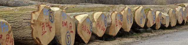 In Reih und Glied wurden die rund 1300...cht das Herz eines jeden Holzkufers.   | Foto: Hubert Rderer