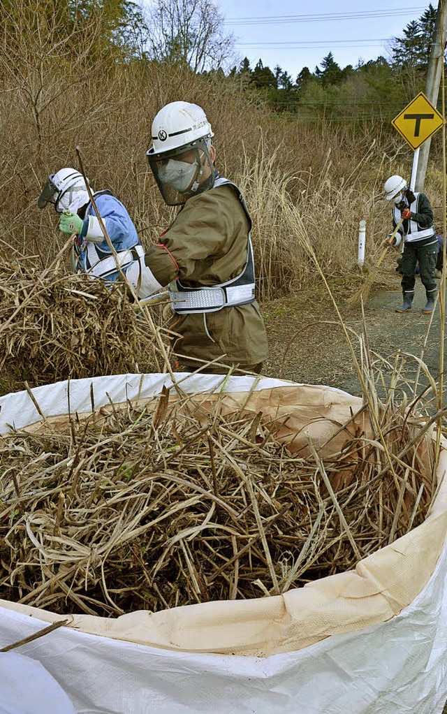 Arbeiter in Schutzkleidung entfernen r... Kernkraftwerk verstrahltes Gestrpp.   | Foto: dpa