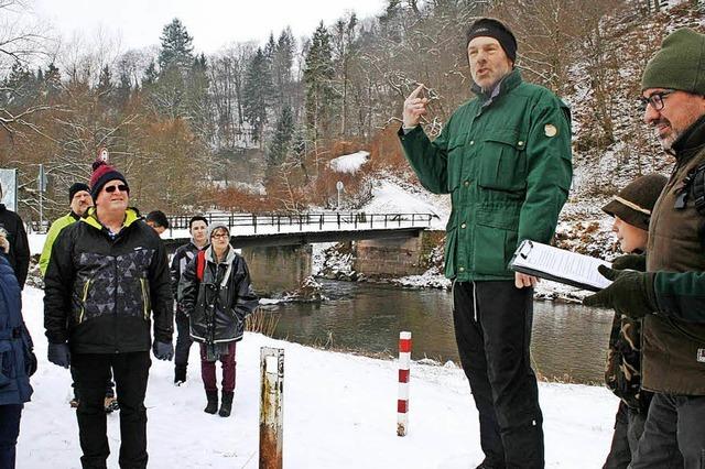 Holzauktion im Winterwald