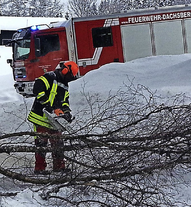 Auch Bäume, die Straßen versperrten, m...rabteilung  Dachsberg Süd beseitigen.   | Foto: Symbolfoto: Feuerwehr