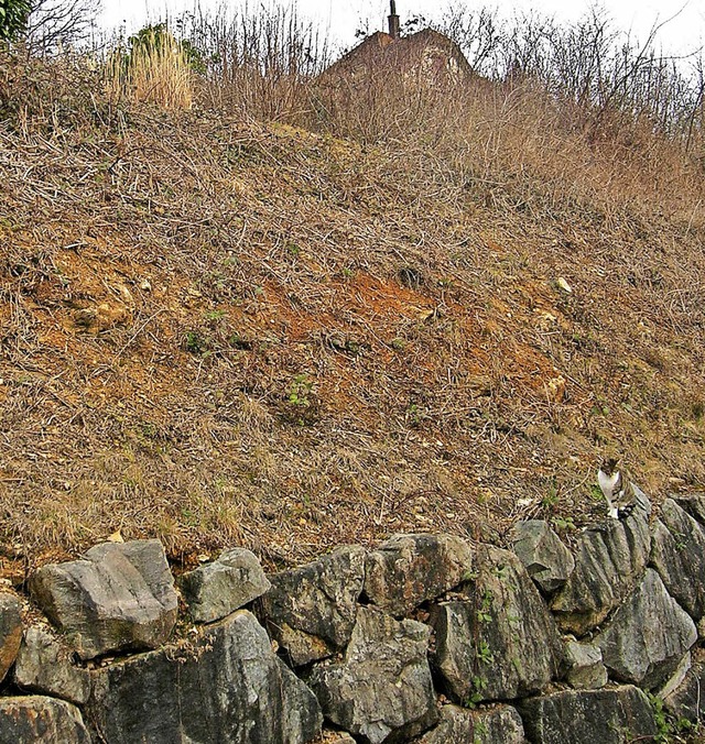 Das  Gelnde zwischen Himmelreich und ...Carl-Orff-Weg haben massive Bedenken.   | Foto: Jahn