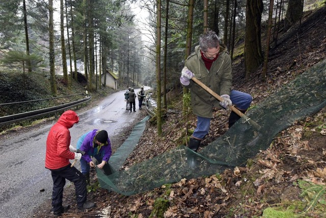 Gestern wurde im Kappler Kleintal wieder der Amphibien-Schutzzaun aufgebaut.   | Foto: Thomas Kunz