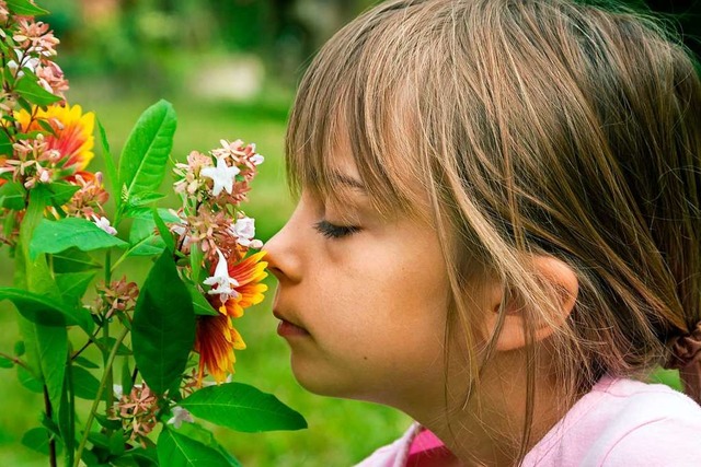 Ob Blumen, Sandelholz  oder Kaffee: D...l, Schmerzen oder schlechter Stimmung.  | Foto: Elonore H  (stock.adobe.com)