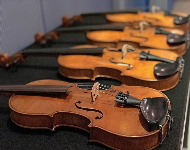 Geigen aus Pilzholz   | Foto: dpa