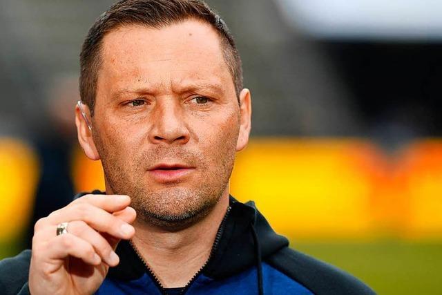 Hertha-Coach Drdai fordert Punkte gegen den SC Freiburg