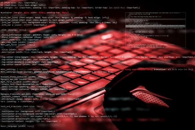 Nicht nur Bundesbehrden, auch das Lan...immer wieder Opfer von Cyberangriffen.  | Foto: REDPIXEL  (stock.adobe.com)