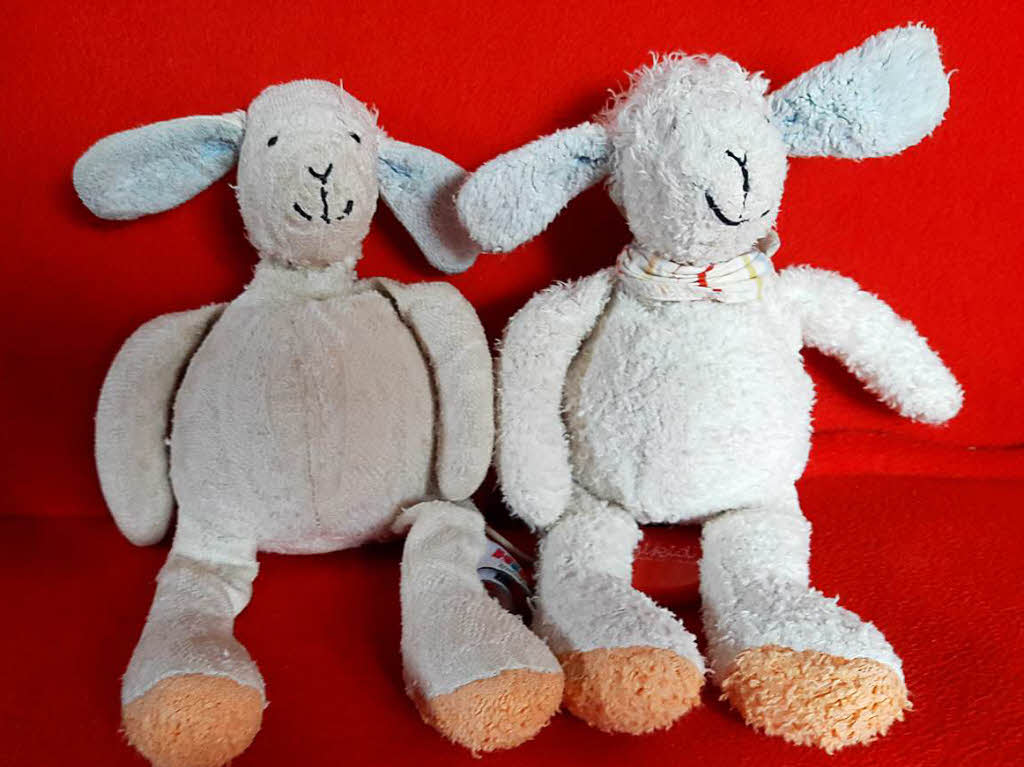 Mein Kuscheltier ist ein Schaf und heit Lilli. Als ich anderthalb Jahre alt war, habe ich Lilly in einem Laden verloren.  Mama hat mir das gleiche Kuscheltier noch mal gekauft. Ich habe gedacht, es wre das alte. Irgendwann haben wir die alte Lilli wiedergefunden. Dann hatte ich ein Schaf fr zu Hause und ein Schaf fr den Kindergarten. Lilly ist  mein Lieblingskuscheltier. (Stella, 9 Jahre)