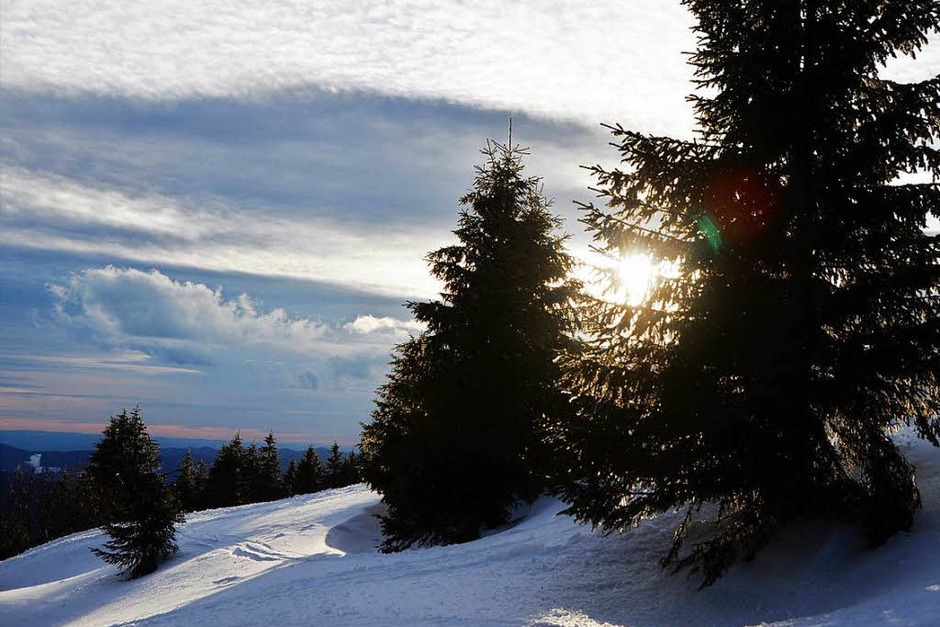 Zwischen Sonnenuntergang und Alpensicht: Beim jüngsten "Fotospaziergang auf dem Feldberg" machten sich neun Hobbyfotografen am späten Nachmittag auf den Weg zum Seebuck, darunter auch BZ-Redakteurin Kathrin Blum. (Foto: Kathrin Blum) Zwischen Sonnenuntergang und Alpensicht: Beim jüngsten "Fotospaziergang auf dem Feldberg" machten sich neun Hobbyfotografen am späten Nachmittag auf den Weg zum Seebuck, darunter auch BZ-Redakteurin Kathrin Blum. (Foto: Kathrin Blum)