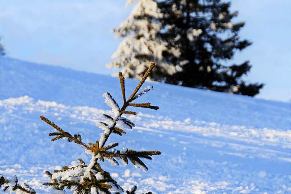 Zwischen Sonnenuntergang und Alpensicht: Beim jüngsten "Fotospaziergang auf dem Feldberg" machten sich neun Hobbyfotografen am späten Nachmittag auf den Weg zum Seebuck, darunter auch BZ-Redakteurin Kathrin Blum. (Foto: Kathrin Blum) Zwischen Sonnenuntergang und Alpensicht: Beim jüngsten "Fotospaziergang auf dem Feldberg" machten sich neun Hobbyfotografen am späten Nachmittag auf den Weg zum Seebuck, darunter auch BZ-Redakteurin Kathrin Blum. (Foto: Kathrin Blum)