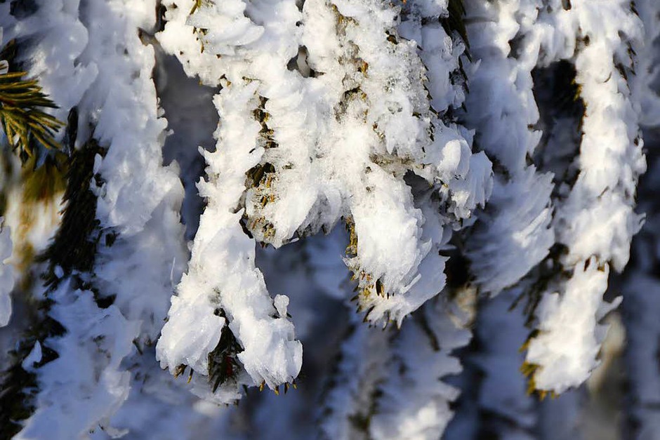 Zwischen Sonnenuntergang und Alpensicht: Beim jüngsten "Fotospaziergang auf dem Feldberg" machten sich neun Hobbyfotografen am späten Nachmittag auf den Weg zum Seebuck, darunter auch BZ-Redakteurin Kathrin Blum. (Foto: Kathrin Blum) Zwischen Sonnenuntergang und Alpensicht: Beim jüngsten "Fotospaziergang auf dem Feldberg" machten sich neun Hobbyfotografen am späten Nachmittag auf den Weg zum Seebuck, darunter auch BZ-Redakteurin Kathrin Blum. (Foto: Kathrin Blum)