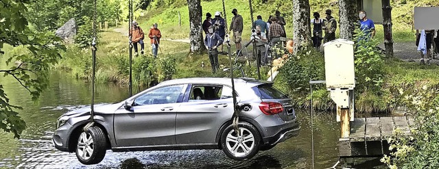 Die Feuerwehr Neuenweg war auch an der...mattweiher im letzten Jahr beteiligt.   | Foto: Polizei