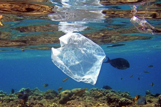 Kampf dem Plastikmll