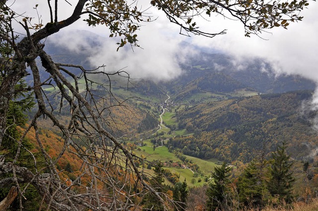 Die Kulturlandschaft am Oberrhrein, Ho...dwirtschaft und Forts erhalten werden.  | Foto: Jutta Schtz