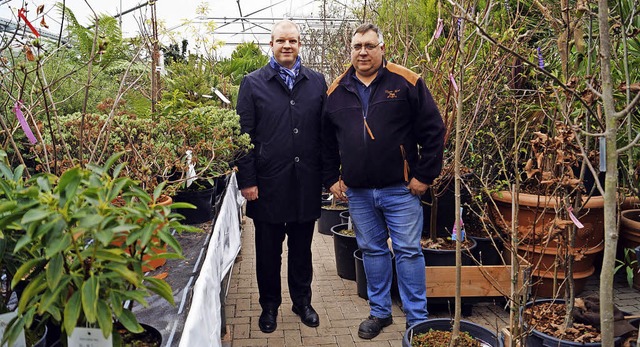 Behtet vor kaltem Winterwetter, wchs...Schwanz, Leiter der Kurparkgrtnerei.   | Foto: Silke Hartenstein