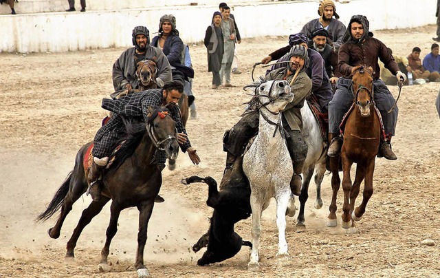 Dutzende Reiter kmpfen  beim freitgl...kaschi-Turnier um ein kopfloses Kalb.   | Foto: DPA