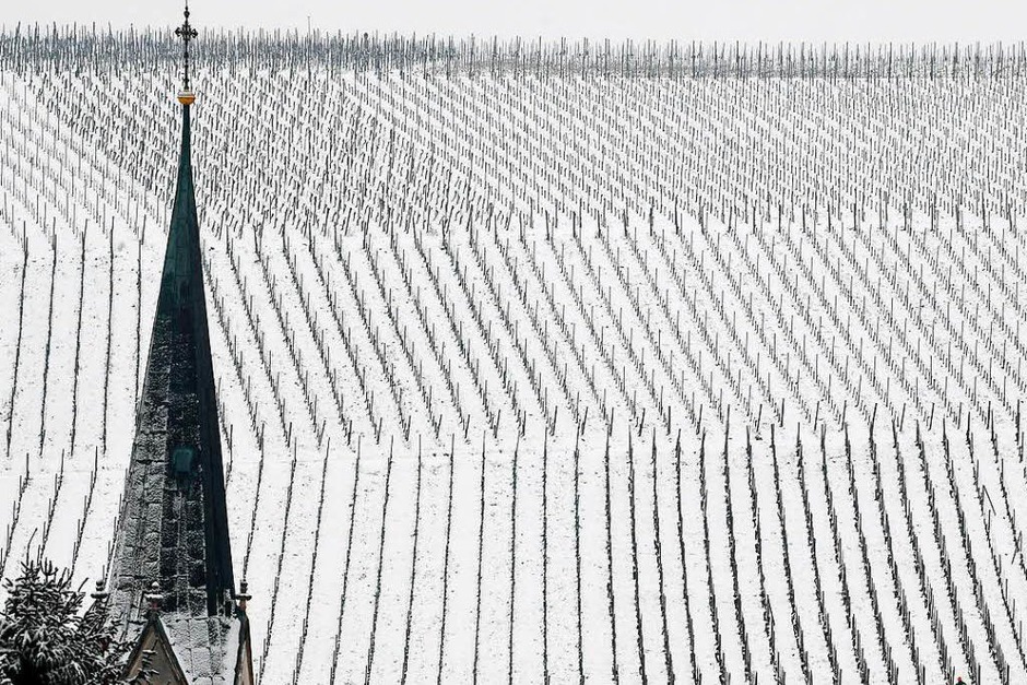 In Ebringen versinken die Weinberge im Schnee (Foto: dpa) In Ebringen versinken die Weinberge im Schnee (Foto: dpa)