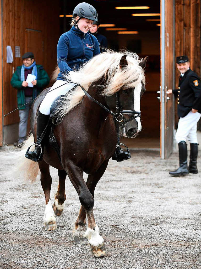 „Dachs“ aus der Zucht von Alfred und Christina Laubis aus Titisee - einer von zwei Elitehengsten an diesem Tag.