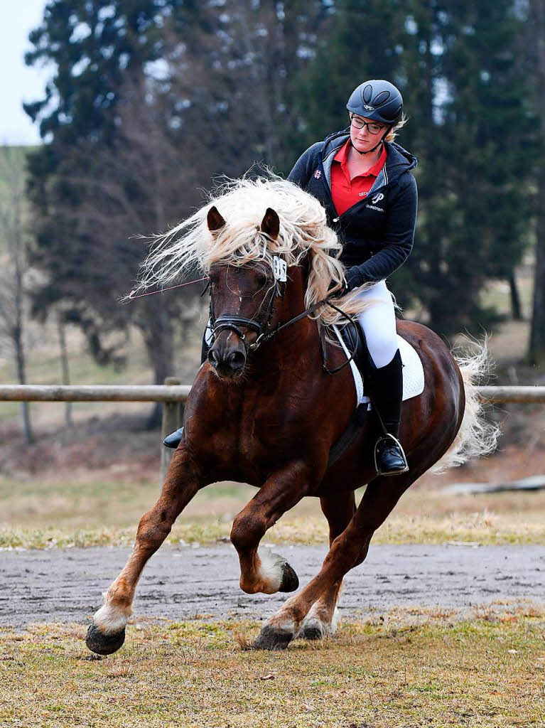 Letzte Runden mit „Mnchbru“ (Schultheiss) auf dem Reitplatz.