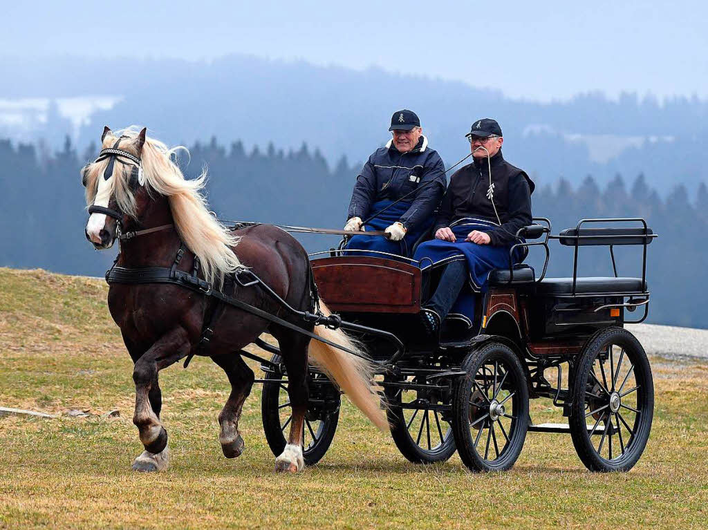 Dexter wird bei Klaus Tritschler in Titisee-Neustadt stehen.