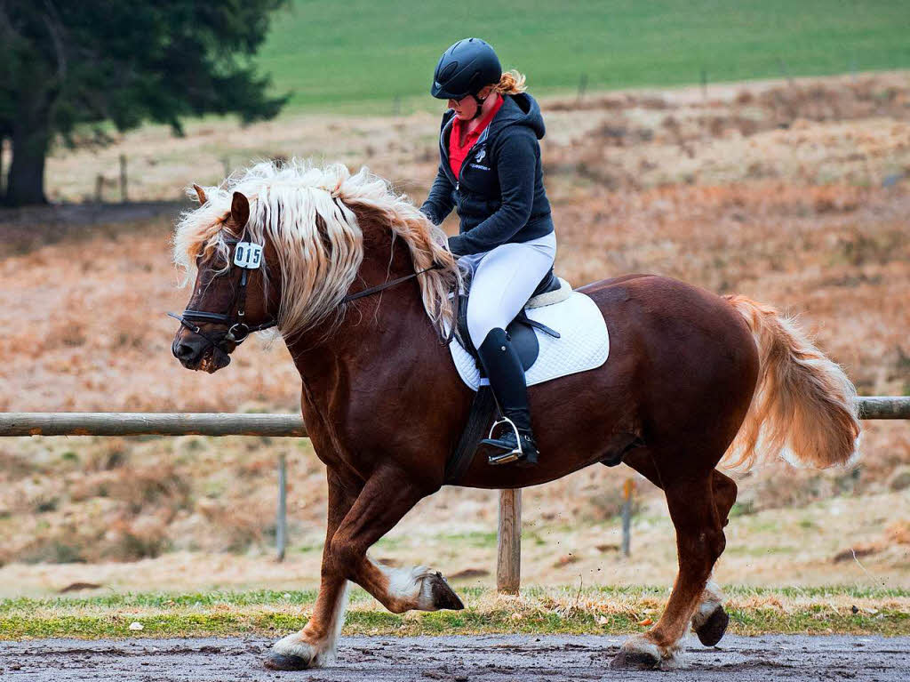 Letzte Runden mit „Mnchbru“ (Schultheiss) auf dem Reitplatz.