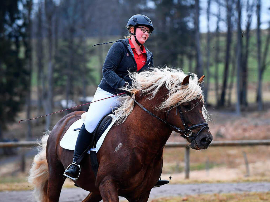 Letzte Runden mit „Mnchbru“ (Schultheiss) auf dem Reitplatz.