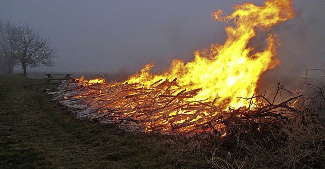 Rebholz ging aus bisher unbekannten Grnden in Flammen auf.   | Foto: mps