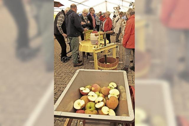 Daueraufgaben Biotoppflege und Nistksten-Kontrolle