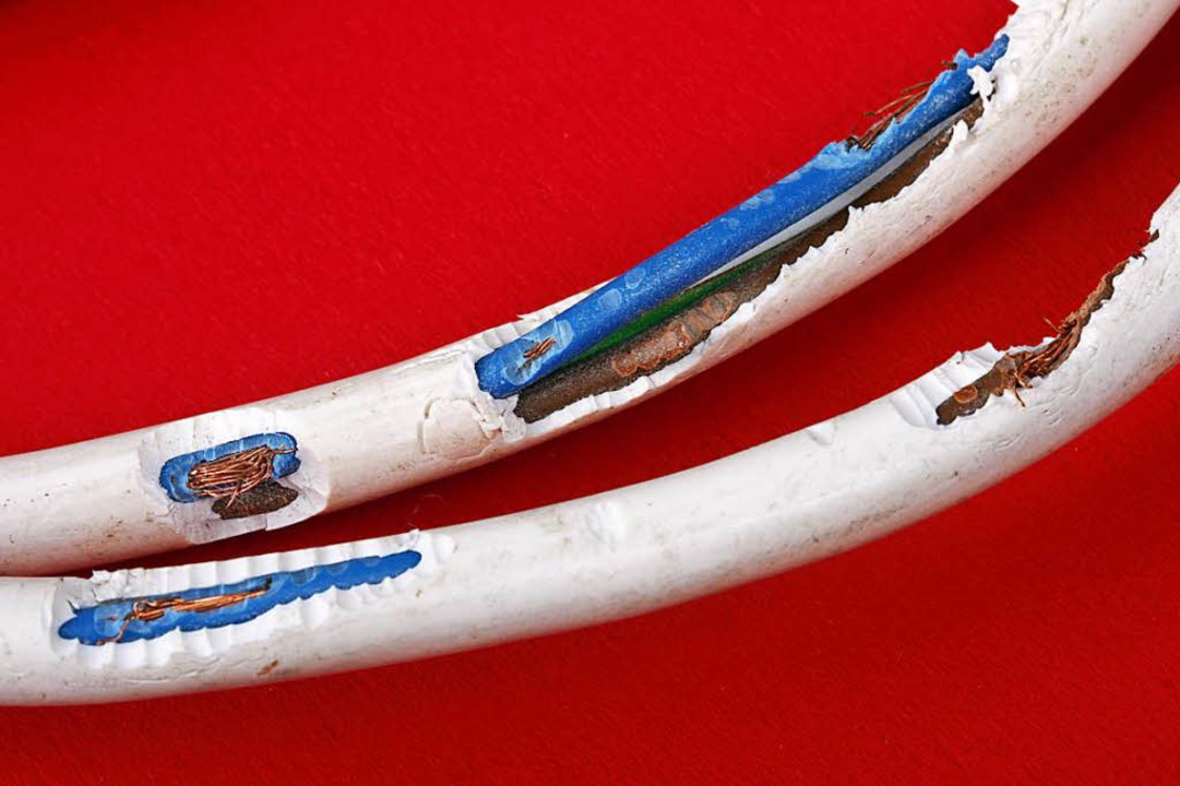 Sehen Eure Kabel auch immer so aus? Fr...ssenschaftler tüfteln an einer Lösung.  | Foto: Klaus Eppele/adobe.com