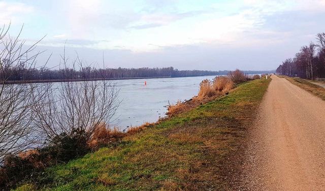 Im Falle der hchsten Einstauung knnt...reisach nach Burkheim gesperrt werden.  | Foto: Julius Wilhelm Steckmeister