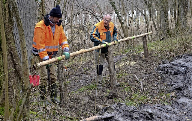 Eine der Aufgaben beim Arbeitseinsatz ...ad im Wyhler Wald: Gelnder erneuern.   | Foto: Roland Vitt