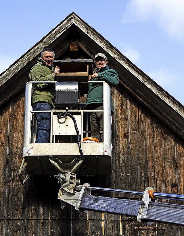 Krzlich wurde im oberen Elztal eine N...tenaktion fr Turmfalken vorgenommen.   | Foto: Daniel Fleig