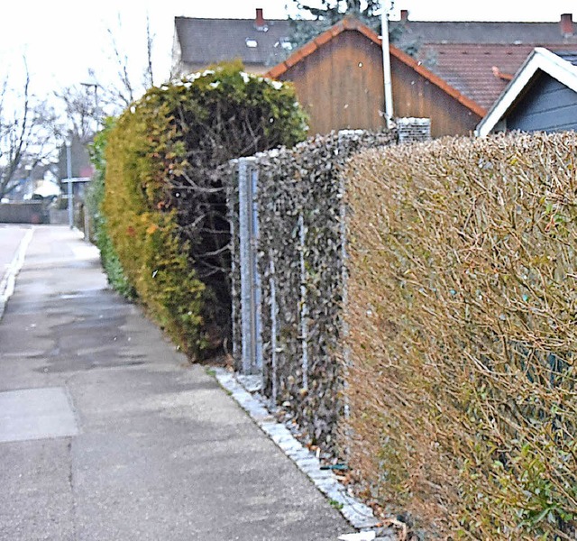 Herten wnscht sich eine Einfriedungssatzung.  | Foto: Heinz u. Monika Vollmar