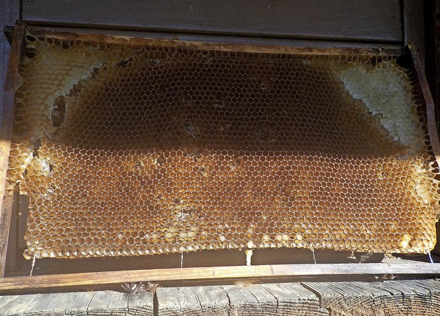 Ein Bienenvolk kann  25 Kilo Honig im ...achen. Das gibt eine Menge Honigbrote.  | Foto: Loghin (2)/Adobe.com (1)