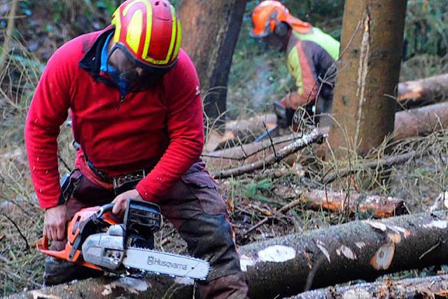 Wegen Forstarbeiten muss die B317 fr drei Wochen gesperrt werden (Symbolbild).  | Foto: Felix Lieschke