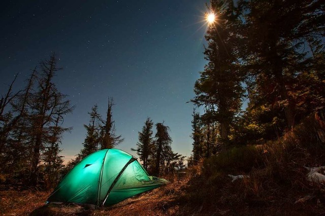 Im Huserner Wald soll ein Trekkingcamp entstehen.  | Foto: Maygutyak  (stock.adobe.com)
