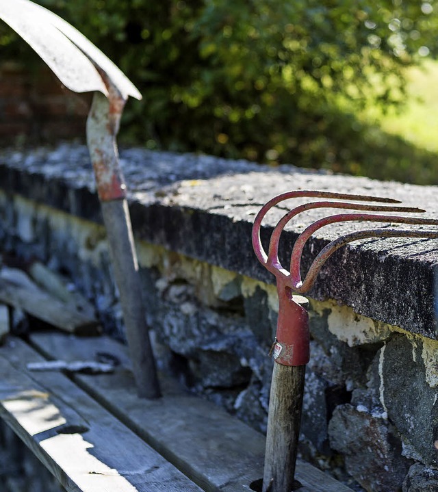 Fr die kologisch wertvolle Pflege de...lhende Landschaften&#8220; erhalten.   | Foto: Symbolbild: Carlotta Huber