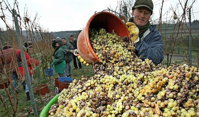 Mancher Winzer dreht lieber sein eigenes Ding.  | Foto: Symbolbild: dpa