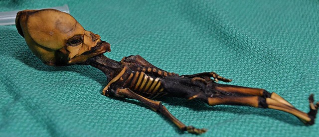 Der Fund der Mini-Mumie fhrte zu wild...nen ber eine auerirdische Herkunft.   | Foto: dpa