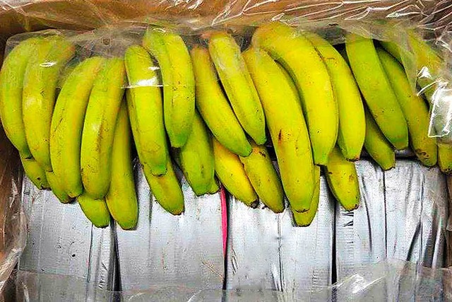 Kokain zwischen Bananen: Der Fund im N...der zweitgrte in Baden-Wrttemberg.   | Foto: PICTURE ALLIANCE