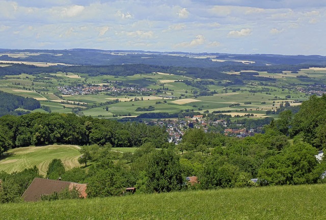 Ziel des Landschaftserhaltungsverbande...schingen) auf den Schwarzwald sieht.   | Foto: Archivfoto: Landschaftserhaltungsverband