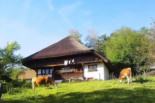 Bauernhausmuseum Schneiderhof