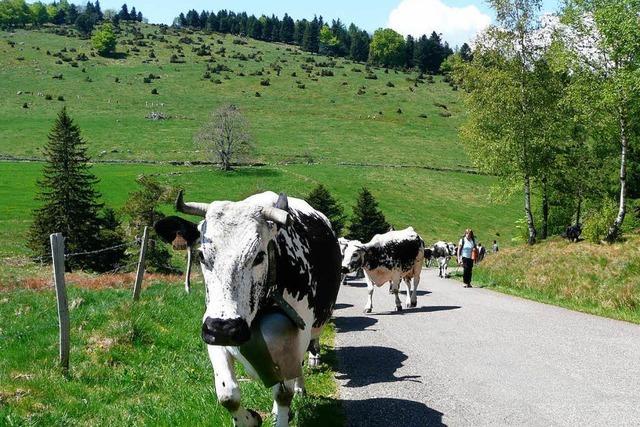 Ferme-Auberge-Fhrer in deutscher Sprache